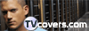 TV Covers