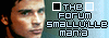 Smallville Mania